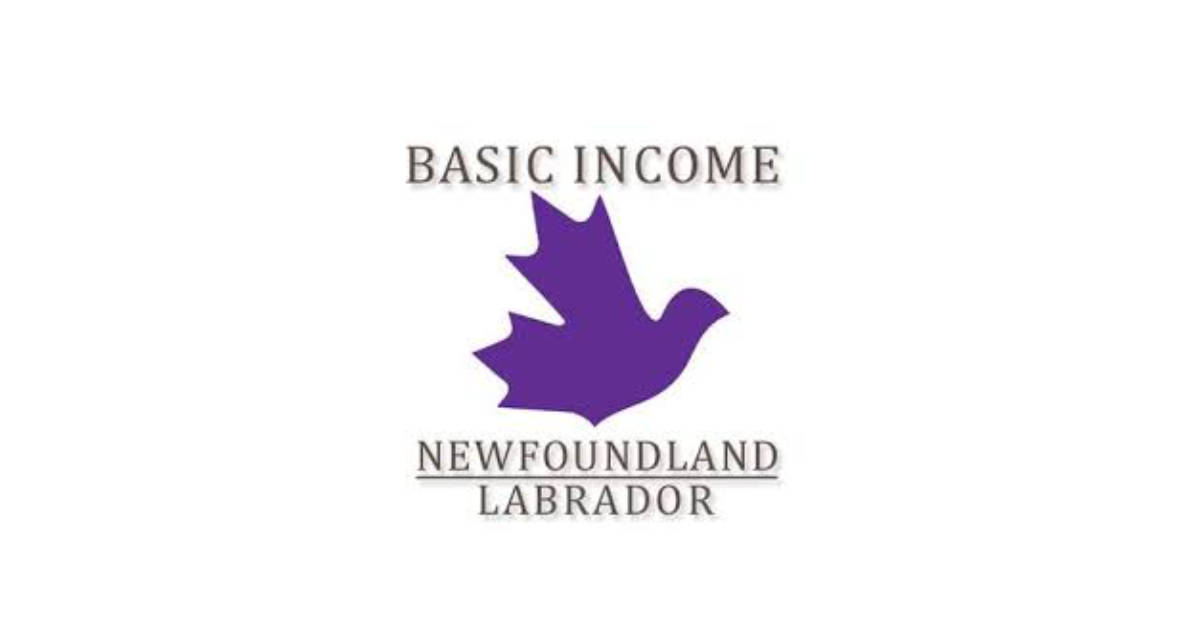 Basic Income NL